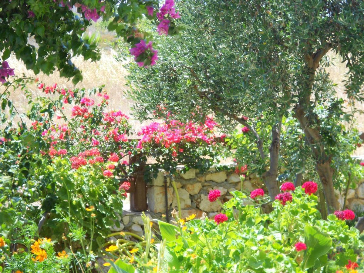 Livadaki Village Hotel Skala  エクステリア 写真