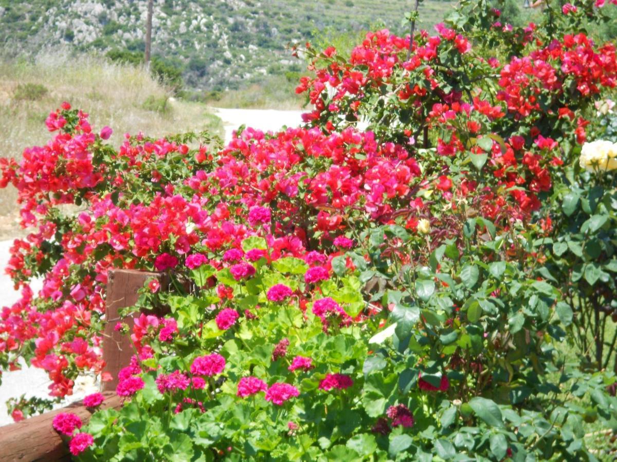 Livadaki Village Hotel Skala  エクステリア 写真